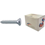Parafuso Aa. Chata Phillips Nfix 2,2 X 6,5 - Kit C/10 Centos