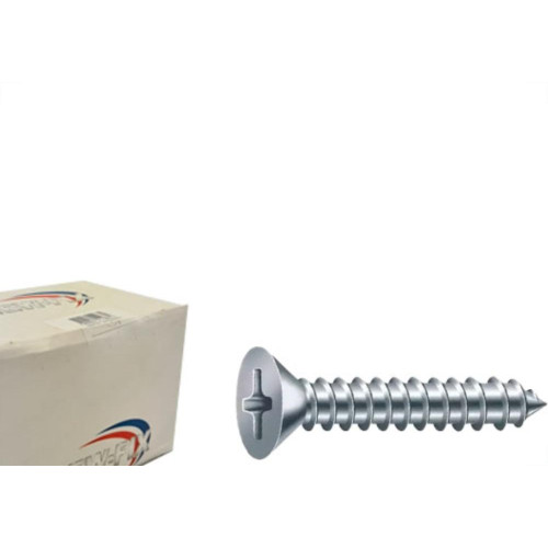 Parafuso Aa. Chata Phillips Nfix 2,2 X 6,5 - Kit C/10 Centos
