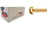 Parafuso New Fix Chip Pan 6,0 X 60 - Kit C/2 Centos