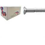 Parafuso Madeira Philips Nfix 2,5X 10 - Kit C/5 Centos