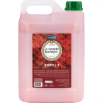 Sabonete Liquida Prem.Morango/Champ 5Lt