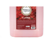 Sabonete Liquida Prem.Morango/Champ 5Lt
