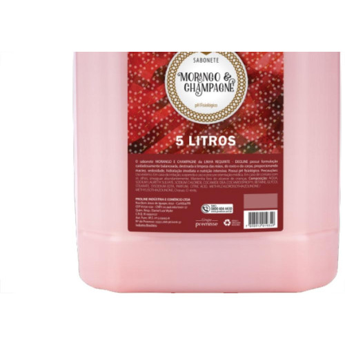 Sabonete Liquida Prem.Morango/Champ 5Lt