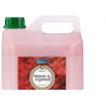 Sabonete Liquida Prem.Morango/Champ 5Lt