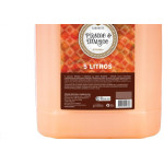 Sabonete Liquida Prem.Pessego/Damas 5Lt