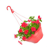 Vaso P/Pendurar Telha-0403