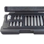 Jg Bits Torx Stels C/15