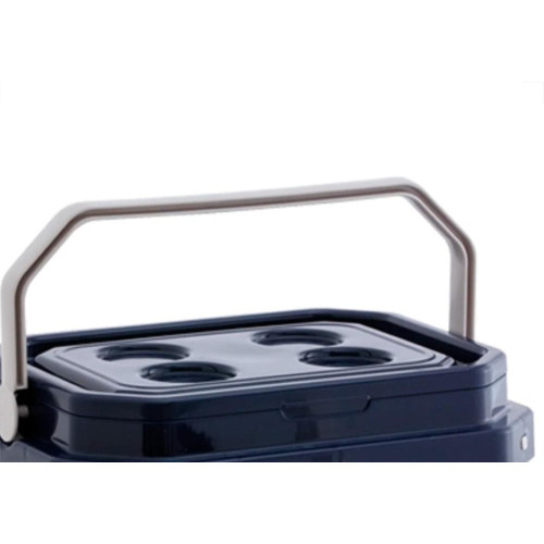 Caixa Termica Colors 17L-998