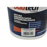 Bautech Tinta Emborrachada Br.4Kg