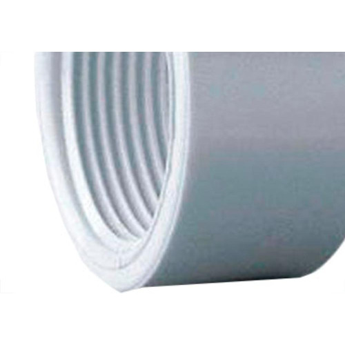 Caps Rosca Rr Amanco 11/2''