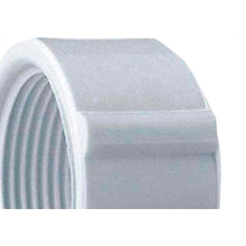 Caps Rosca Rr Amanco 11/2''
