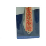 Canivete Inox Brasfort Lamin,Ponta14Mm