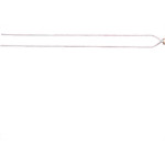 Espeto P/Churr.Capri Duplo 55Cm