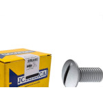 Parafuso Eletro Lentilha Fenda 1/4X1/2 - Kit C/2 Centos