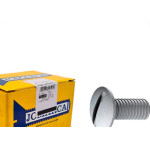 Parafuso Eletro Lentilha Fenda 1/4X3/4 - Kit C/2 Centos