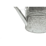 Regador Galvanizado N.10