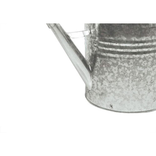 Regador Galvanizado N.10