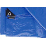 Lona Caminh.Azul (105Gr P/M2) 3 X 5