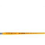 Pincel Tigre Chato  Ref: 815 X 14 - Kit C/12 PC