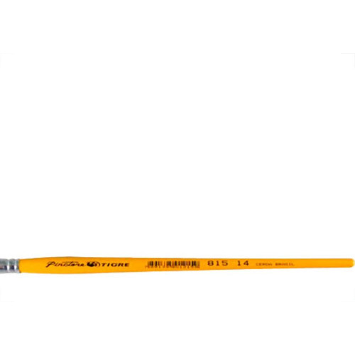 Pincel Tigre Chato  Ref: 815 X 14 - Kit C/12 PC