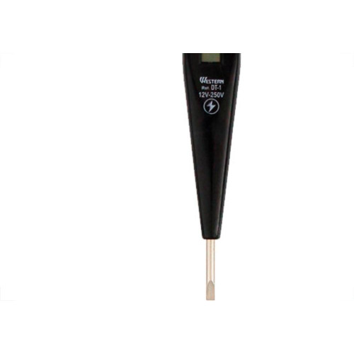 Teste Voltagem Digital 12A250V-Dt1