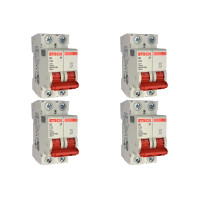 Kit C/4 - Disjuntor Steck ''Din'' Bipolar 32A. C