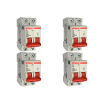 Kit C/4 - Disjuntor Steck ''Din'' Bipolar 63A. C