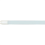 Lampada Tuboled Led Bee 18W T8 6500K