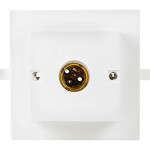 Plafon Decora Pvc Interneed Branco Qd S.Porc