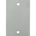 Espelho Placa P/Piso Inox 4X2 Cega Olivo Pll71