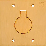 Espelho Placa P/Piso Latao 4X4 1Tomada Red Olivo Ll10