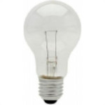 Lampada Incandescente Baixa Voltagem Brasfort 25 X 12V 8563