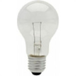 Lampada Incandescente Baixa Voltagem Brasfort 40 X 12V 8564