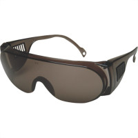 Oculos Protecao Kalipso Panda Fume 