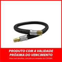 Jan/26 Mangueira Gas Pigtail P13 1/8 Nptf/Lind 0,80M 144/49002 Produto Proximo Do Vencimento, Consulte Seu Vendedor