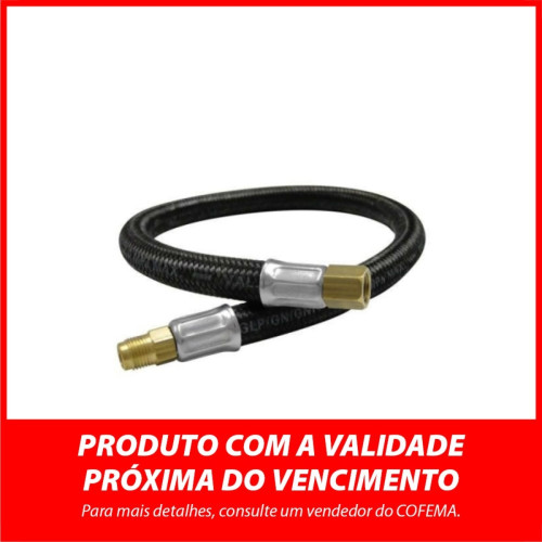 Jan/26 Mangueira Gas Pigtail P13 1/8 Nptf/Lind 0,80M 144/49002 Produto Proximo Do Vencimento, Consulte Seu Vendedor