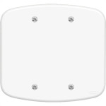 Placa Fame''Blanc''4X4 (Cega) 