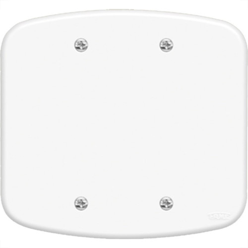 Placa Fame''Blanc''4X4 (Cega) 