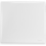 Radial Placa  Ouro Branca 4X4 Cega
