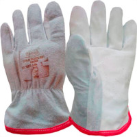 Zanel Luva Vaq/Refor. Blister 07Cm