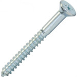 Parafuso Madeira Chata Philips Newfix 3,2 X30Mm - Kit C/5 Centos