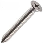 Parafuso Auto Atarraxante Inox Chata Philips Jomarca 4,8 X 25Mm