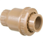 Valvula Retencao Pvc Higiban Rosca 1.1/2''